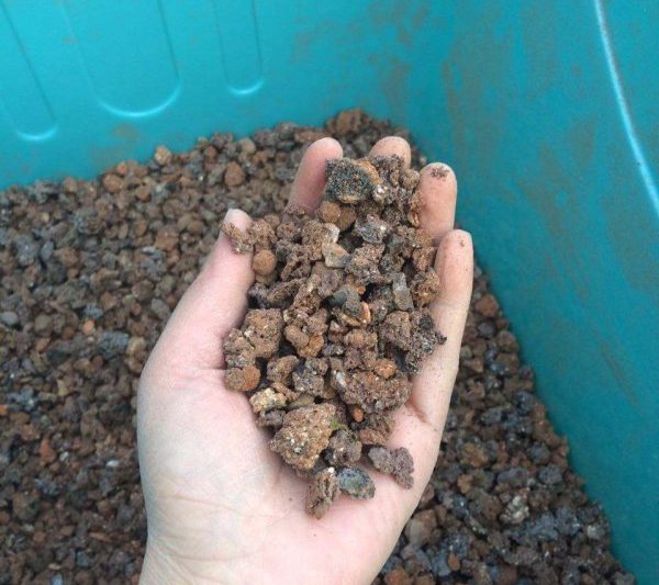 Cinder có thể được trộn trực tiếp với đất và hoa nuôi không? Cinder có thể được sử dụng trực tiếp để trộn đất và trồng hoa không?