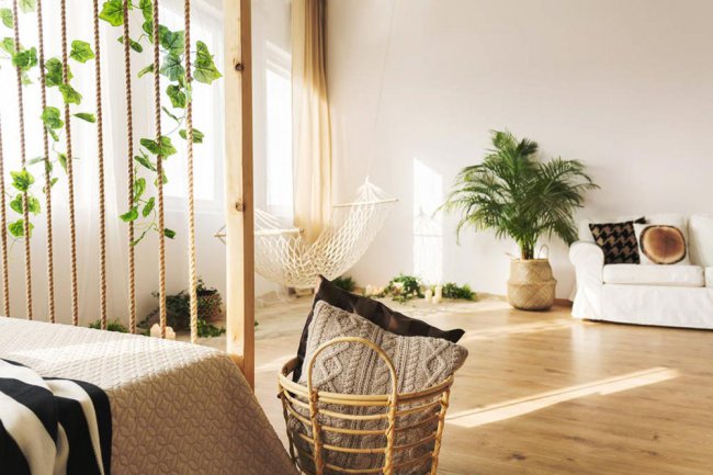 Các nhà máy được đề xuất cho tài sản, phân tích phong thủy của tám loại cây gia đình thịnh vượng (2)