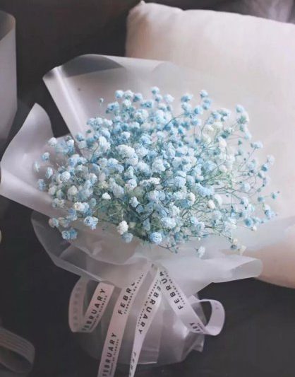 Bầu trời xanh có nghĩa là gì? Ý nghĩa của bầu trời và ngôn ngữ hoa