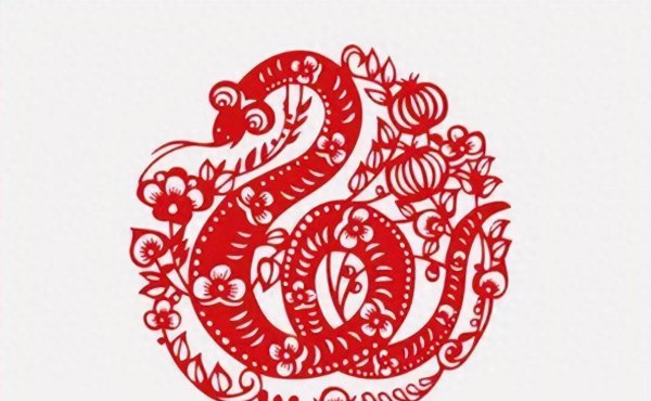 Cây thịnh vượng nhất cho những người sinh ra trong năm của con rắn là gì? Giải thích vị trí của thực vật xanh trong văn phòng phụ nữ sinh ra trong năm của con rắn