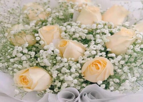 Ý nghĩa của hoa hồng Champagne là gì? Ý nghĩa và biểu tượng của hoa hồng Champagne
