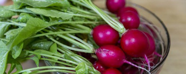 Những loại rau phù hợp để trồng vào đầu mùa thu? Rau nào phù hợp để trồng vào đầu mùa thu