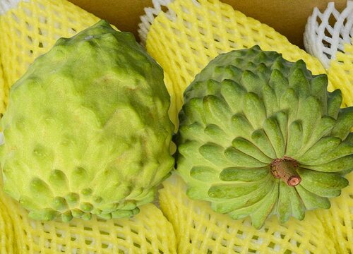 Trái cây của Phật là gì? Trái cây của Phật là gì?