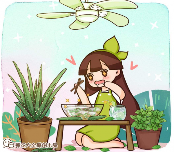 Làm thế nào để trồng bạc hà trong chậu cây? Công nghệ trồng trọt và bảo trì bạc hà