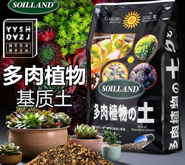 Phân bón nào là tốt nhất để bón phân? Phân bón nào phù hợp nhất để thụ tinh xương rồng?