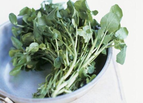 Cá cải xoáy là gì? Watercress như thế nào