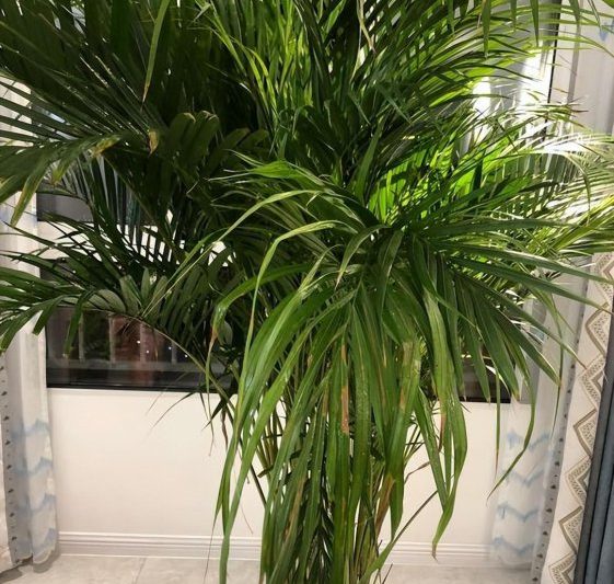 Why can’t you raise a scattered scattered scattered scattered scattered scattered scattered scattered scattered scattered scattered scattered scattered scattered scattered scattered scattered scattered scattered scattered scattered scattered scattered scattered scattered scattered scattered scattered scattered scattered scattered scattered scattered scattered scattered scattered scattered rải rác rải rác rải rác rải rác rải rác rải rác rải rác rải rác rải rác rải rác rải rác rải rác rải rác rải rác Scaa rải rác SCA