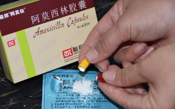 Hoa Amoxicillin có thể không? Amoxicillin có thể được sử dụng để tưới hoa không?