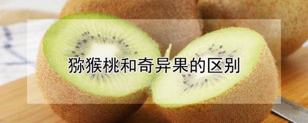 Sự khác biệt giữa Kiwi và Kiwi là gì? Sự khác biệt giữa Kiwi và Kiwi là gì?