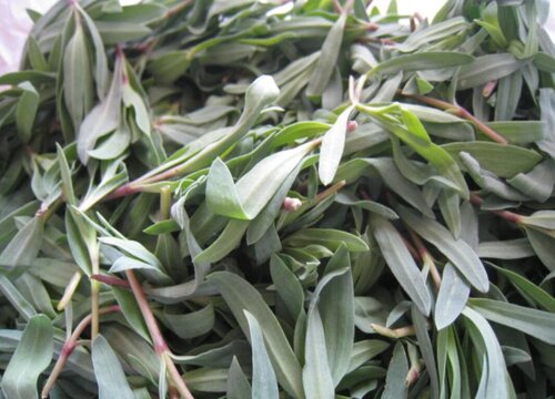 Món núi là gì? Món núi như thế nào