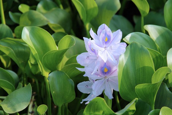 Fengshui Taboos của Fengshui Taboos của Fengshui Taboos của Fengshui Taboos
Tránh không tuân theo phong thủy