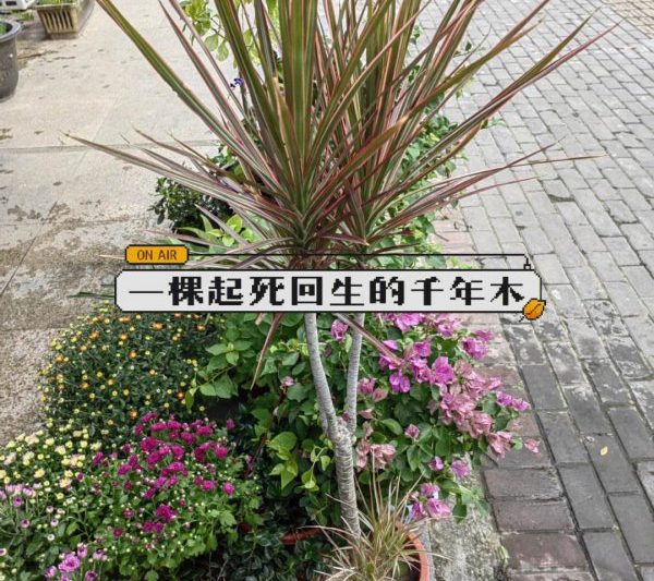 Bạn có cần phải tưới nước kỹ không? Bạn có cần phải tưới nước kỹ không?