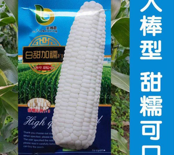 Giới thiệu về Overlord mục vụ 981 Hạt ngô Giới thiệu về Overlord mục vụ 981 Hạt ngô