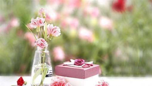 Màu sắc của hoa cẩm chướng đại diện cho gì? Carnations và ý nghĩa khác nhau